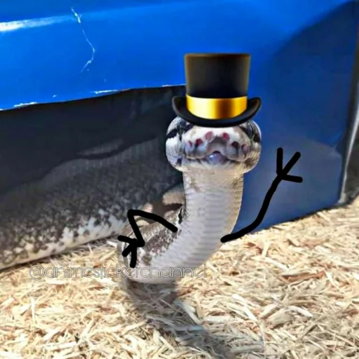 🙂 Стикер «SNAKES» для Telegram