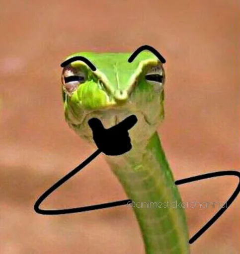 🤔 Стикер «SNAKES» для Telegram