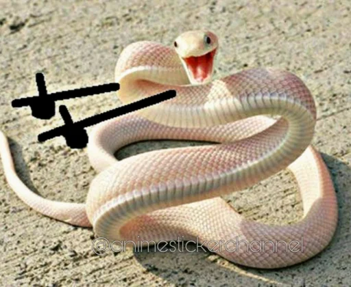 😆 Стикер «SNAKES» для Telegram