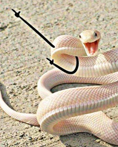 Стикерпак SNAKES для Telegram