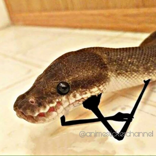 🤔 Стикер «SNAKES» для Telegram