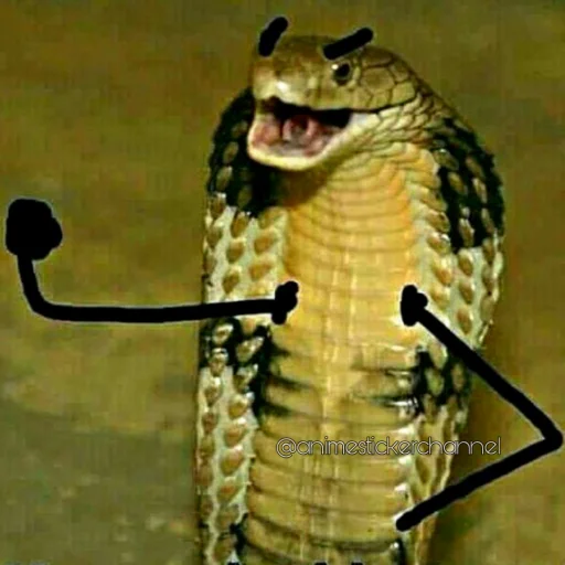 😒 Стикер «SNAKES» для Telegram