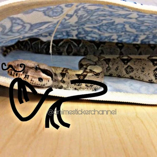🤔 Стикер «SNAKES» для Telegram