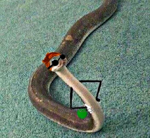 😎 Стикер «SNAKES» для Telegram
