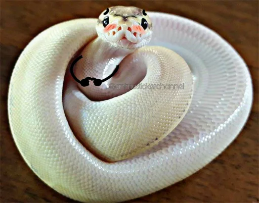 ☺️ Стикер «SNAKES» для Telegram