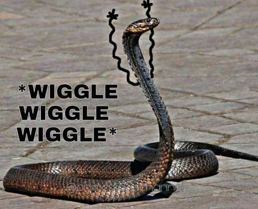 😆 Стикер «SNAKES» для Telegram