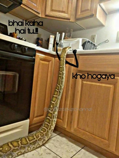 🤨 Стикер «SNAKES» для Telegram