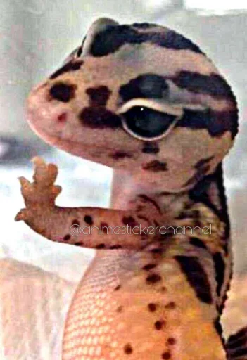 🙂 Стикер «SNAKES» для Telegram