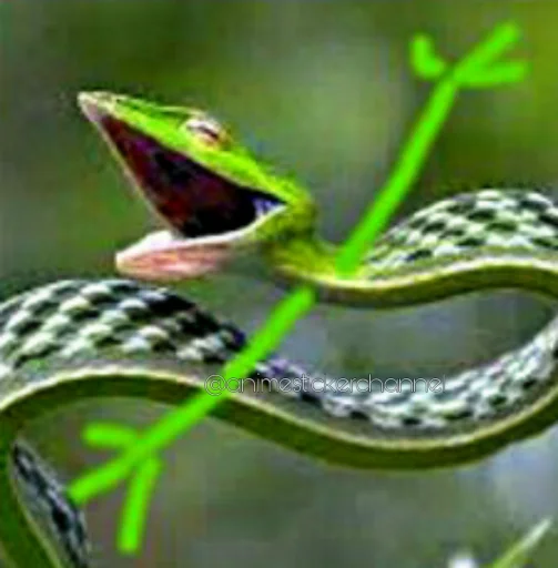 😆 Стикер «SNAKES» для Telegram
