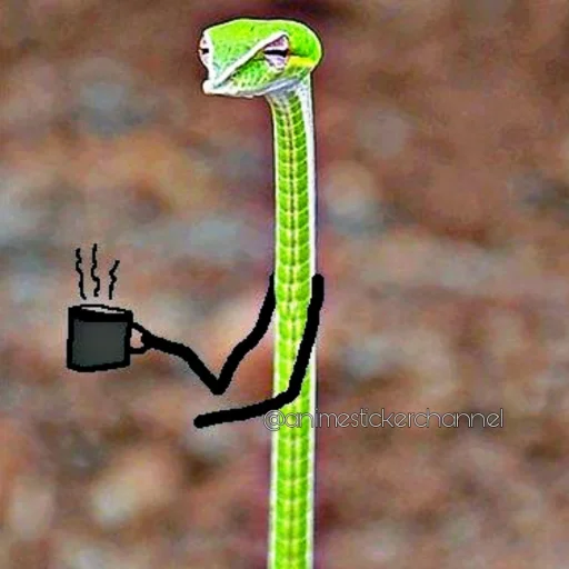 😌 Стикер «SNAKES» для Telegram