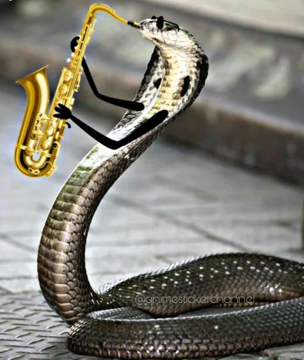 ☺️ Стикер «SNAKES» для Telegram