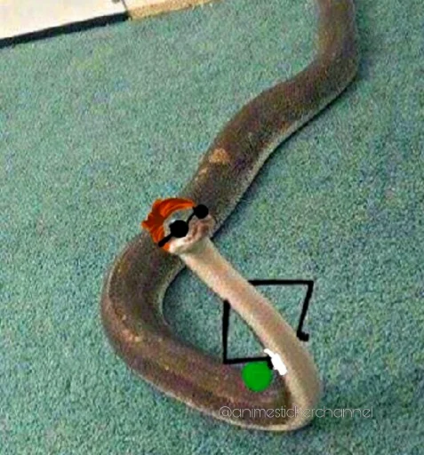 😏 Стикер «SNAKES» для Telegram