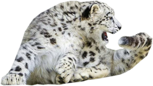 😤 Стикер «Snep Lep Blep» для Telegram