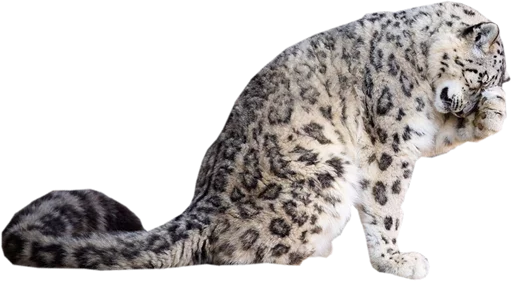 😑 Стикер «Snep Lep Blep» для Telegram