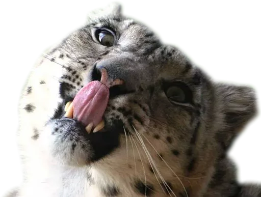 😛 Стикер «Snep Lep Blep» для Telegram
