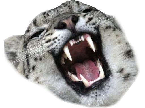 😆 Стикер «Snep Lep Blep» для Telegram