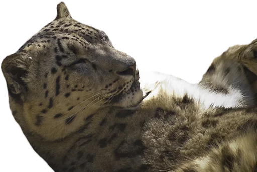 ☺️ Стикер «Snep Lep Blep» для Telegram