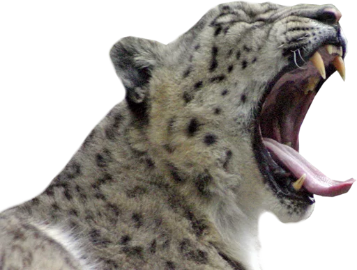 😵 Стикер «Snep Lep Blep» для Telegram