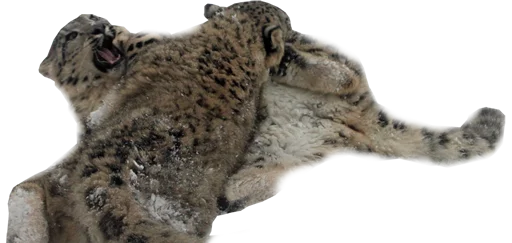 😡 Стикер «Snep Lep Blep» для Telegram