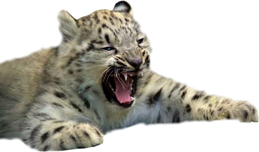 😫 Стикер «Snep Lep Blep» для Telegram