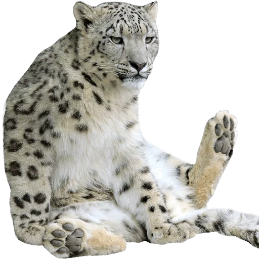 😠 Стикер «Snep Lep Blep» для Telegram