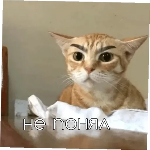 🤨 Стикер «С новым годом!» для Telegram