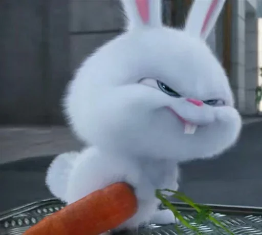 🐰 Стикер «Snowball the rabbit» для Telegram