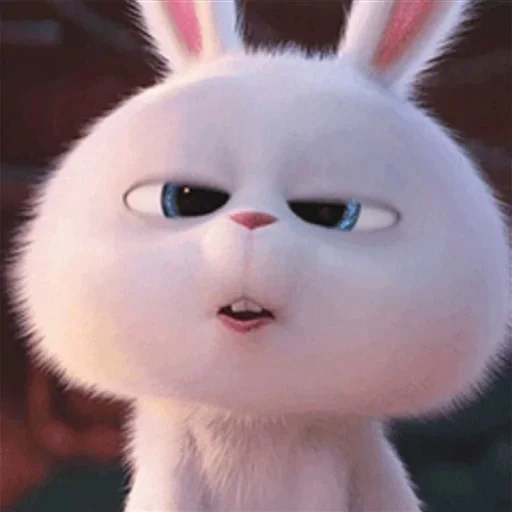 🐰 Стикер «Snowball the rabbit» для Telegram