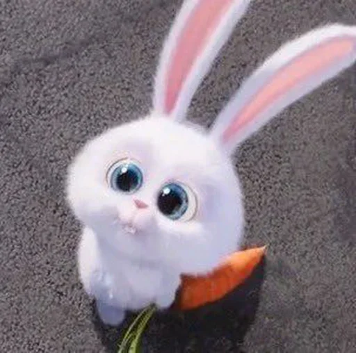 🐰 Стикер «Snowball the rabbit» для Telegram
