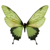 🌿 Эмодзи «Snufkin» для Telegram