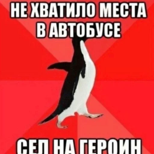 ☠️ Стикер «snz» для Telegram