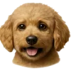 Стикер 22 Собачьи Морды