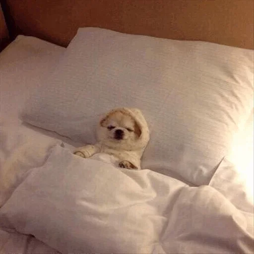 ☹️ Стикер «Dog life» для Telegram