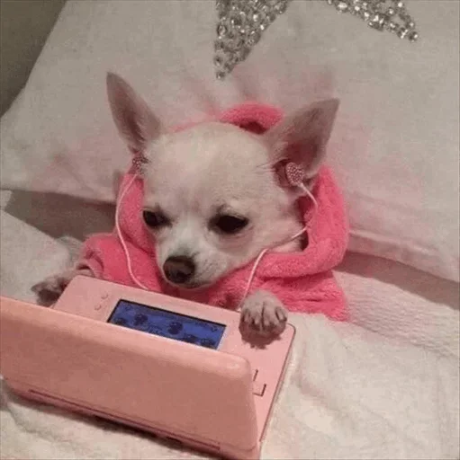 ☹️ Стикер «Dog life» для Telegram