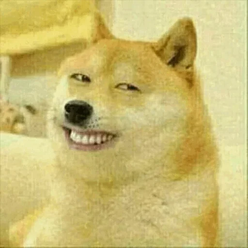😝 Стикер «Dog life» для Telegram
