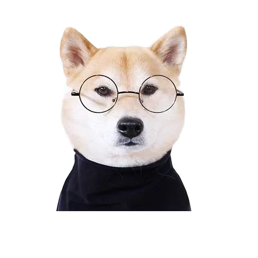 🥶 Стикер «Собака прогрызла Телеграм» для Telegram