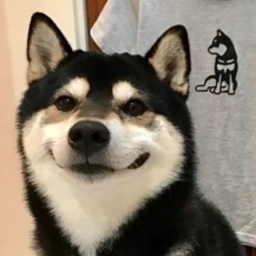 😌 Стикер «sobakens» для Telegram
