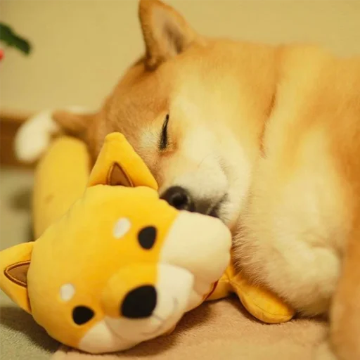 💤 Стикер «sobakens» для Telegram