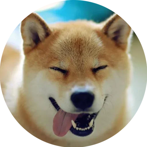 Стикерпак Собаки это Любовь для Telegram