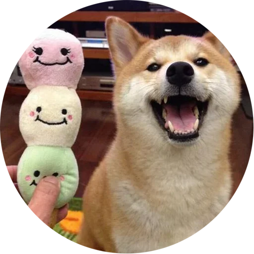 😱 Стикер «Собаки это Любовь» для Telegram