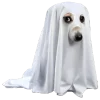 💀 Эмодзи «Сабакии» для Telegram