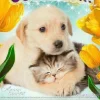 🤩 Эмодзи «собаки и котики» для Telegram