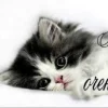 🤩 Эмодзи «собаки и котики» для Telegram