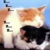 🤩 Эмодзи «собаки и котики» для Telegram