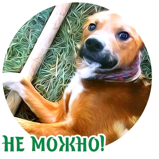 Стикерпак Puppy для Telegram