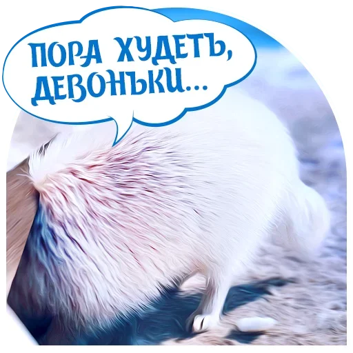 😫 Стикер «Puppy» для Telegram