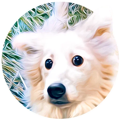 🥺 Стикер «Puppy» для Telegram