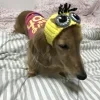 Стикер 10 Собак