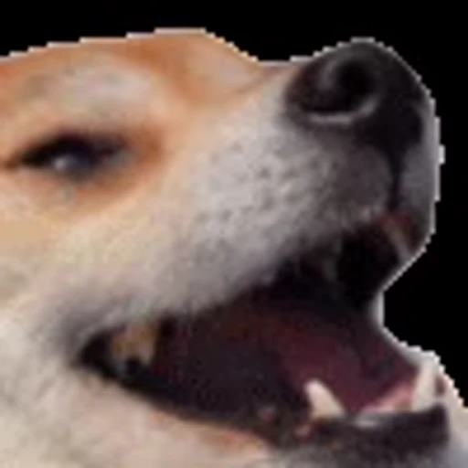 😃 Эмодзи «SOBKO EMOJI» для Telegram