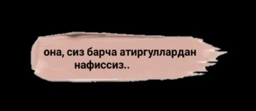 🌷 Стикер «Sobrujamiyll» для Telegram